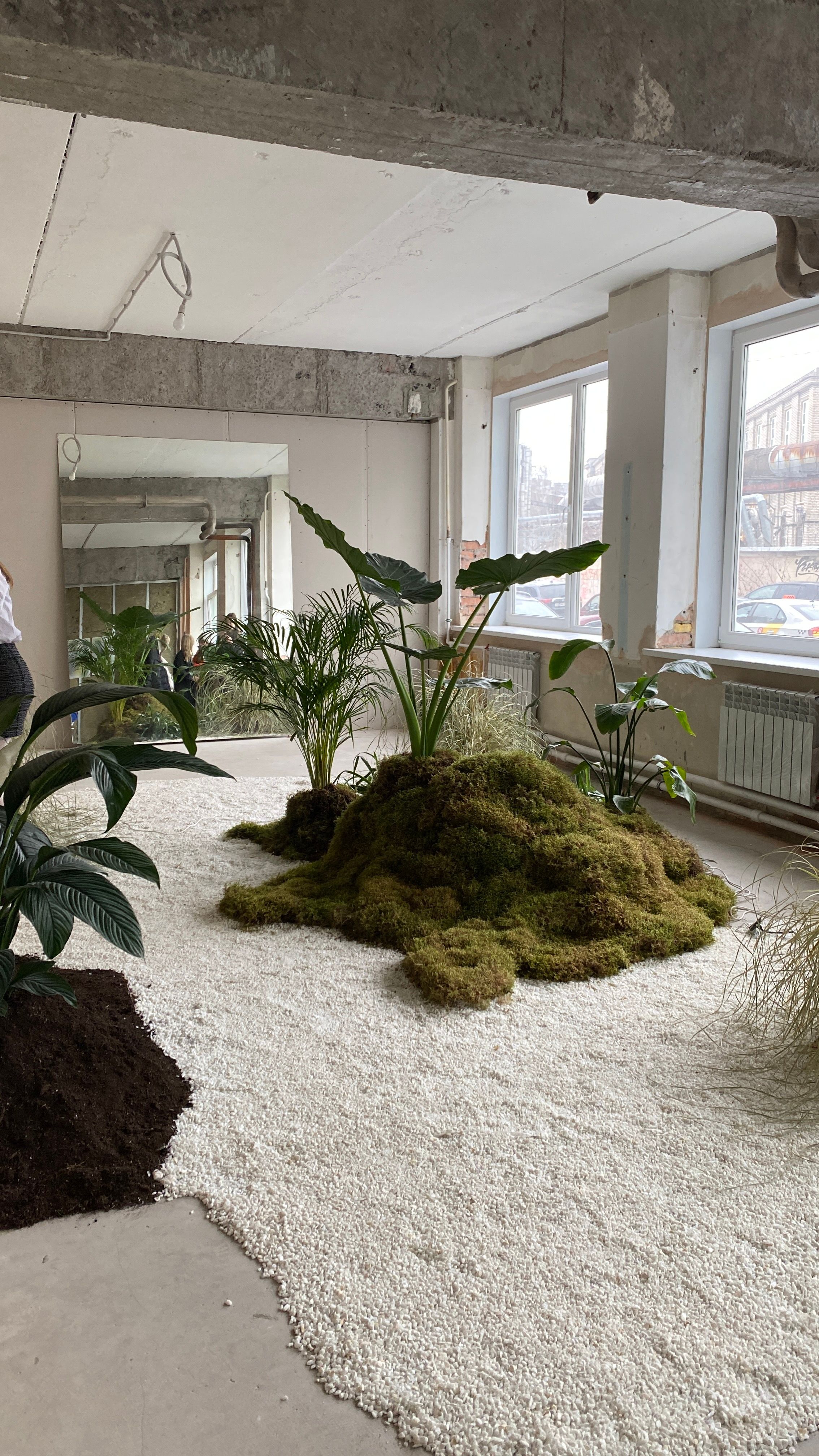 Modern indoor garden with moss and plants in a stylish open space apartment.