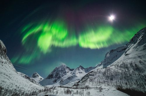 Free Breathtaking view of Northern Lights dancing over snowy peaks in Troms og Finnmark, Norway. Stock Photo