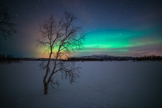 Stunning Northern Lights over a snowy field in Troms og Finnmark, Norway under a starry night sky.