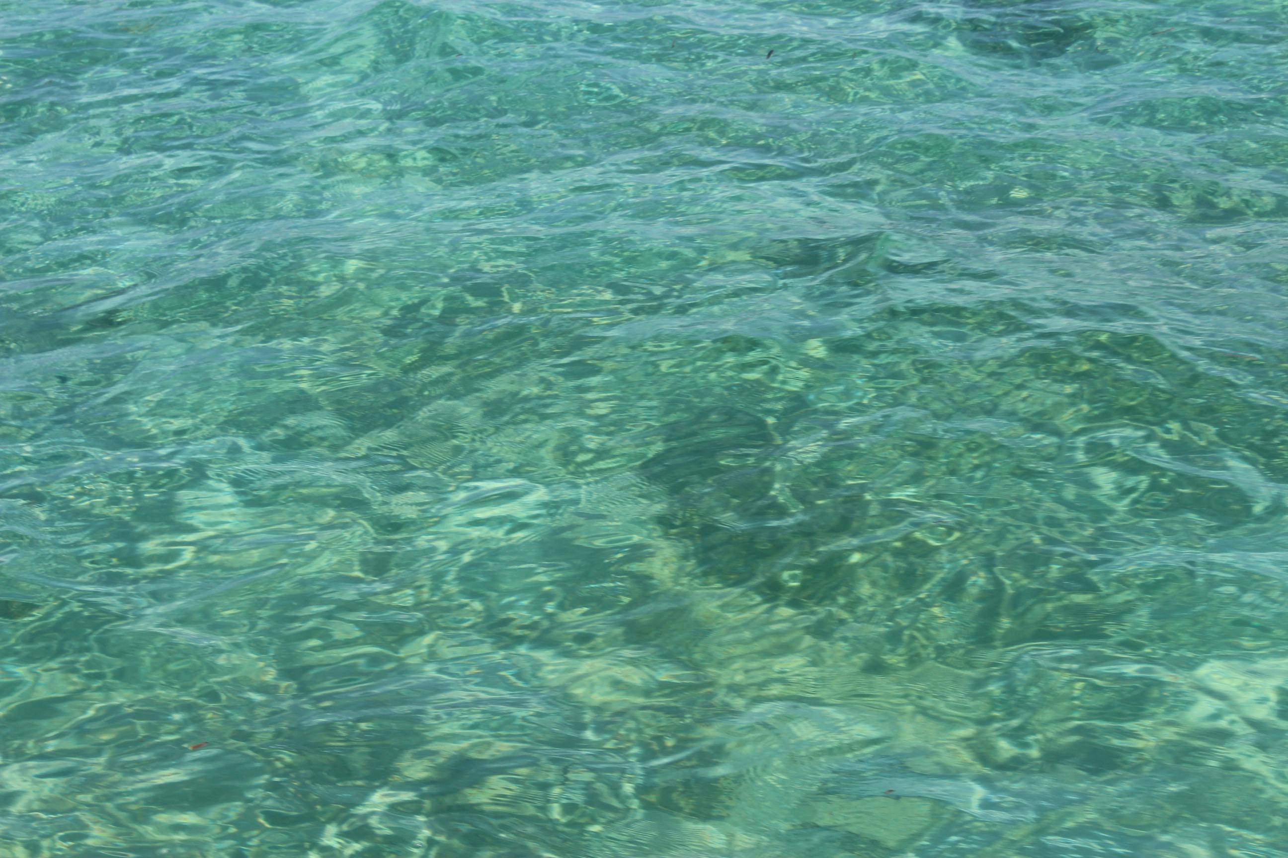 Free stock photo of clean, clear water, crystal clear