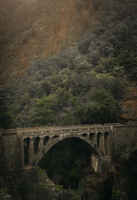 Scenic view of a historical stone bridge amidst dense greenery in Madeira, Portugal.
