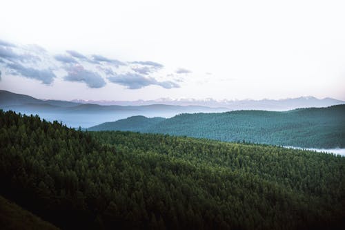 Бесплатное стоковое фото с Аэрофотосъемка, белые облака, зеленые деревья