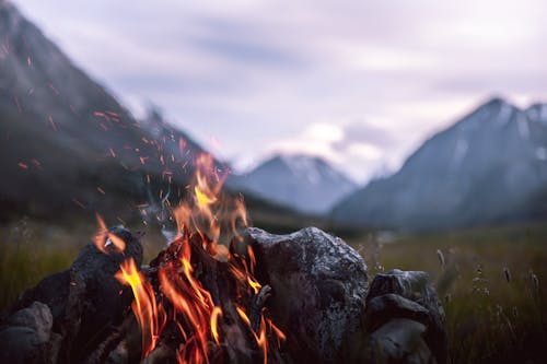 Burning Woods in Macro Shot Photography
