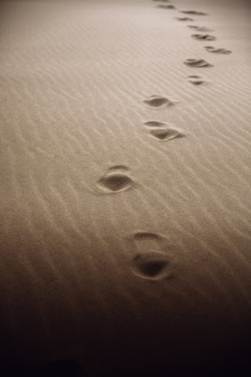 Fotobanka s bezplatnými fotkami na tému duna, kroky, noha