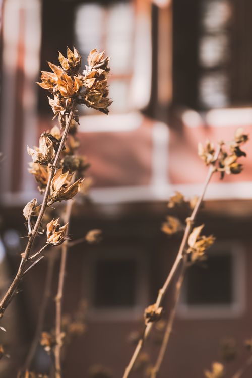 Free stock photo of old towns Stock Photo