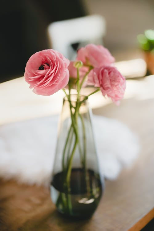 Free Shallow Focus Photography Of Three Pink Flowers Stock Photo