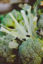 Selective Focus Photography of Broccoli