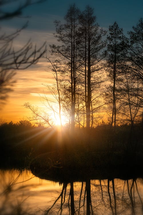 Základová fotografie zdarma na téma jezero, rozbřesk, silueta