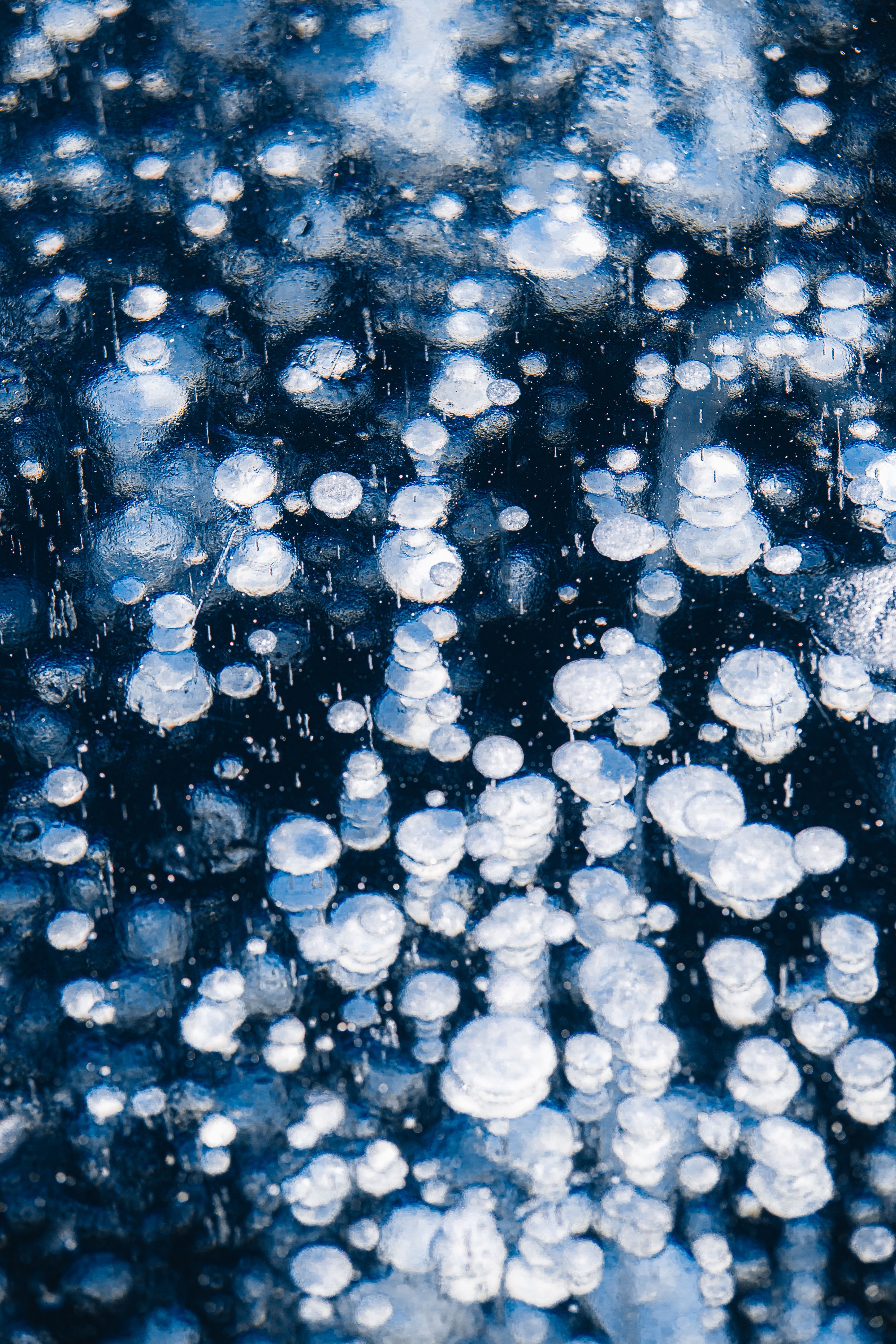 Droplets of Snow in Close-up Photography · Free Stock Photo