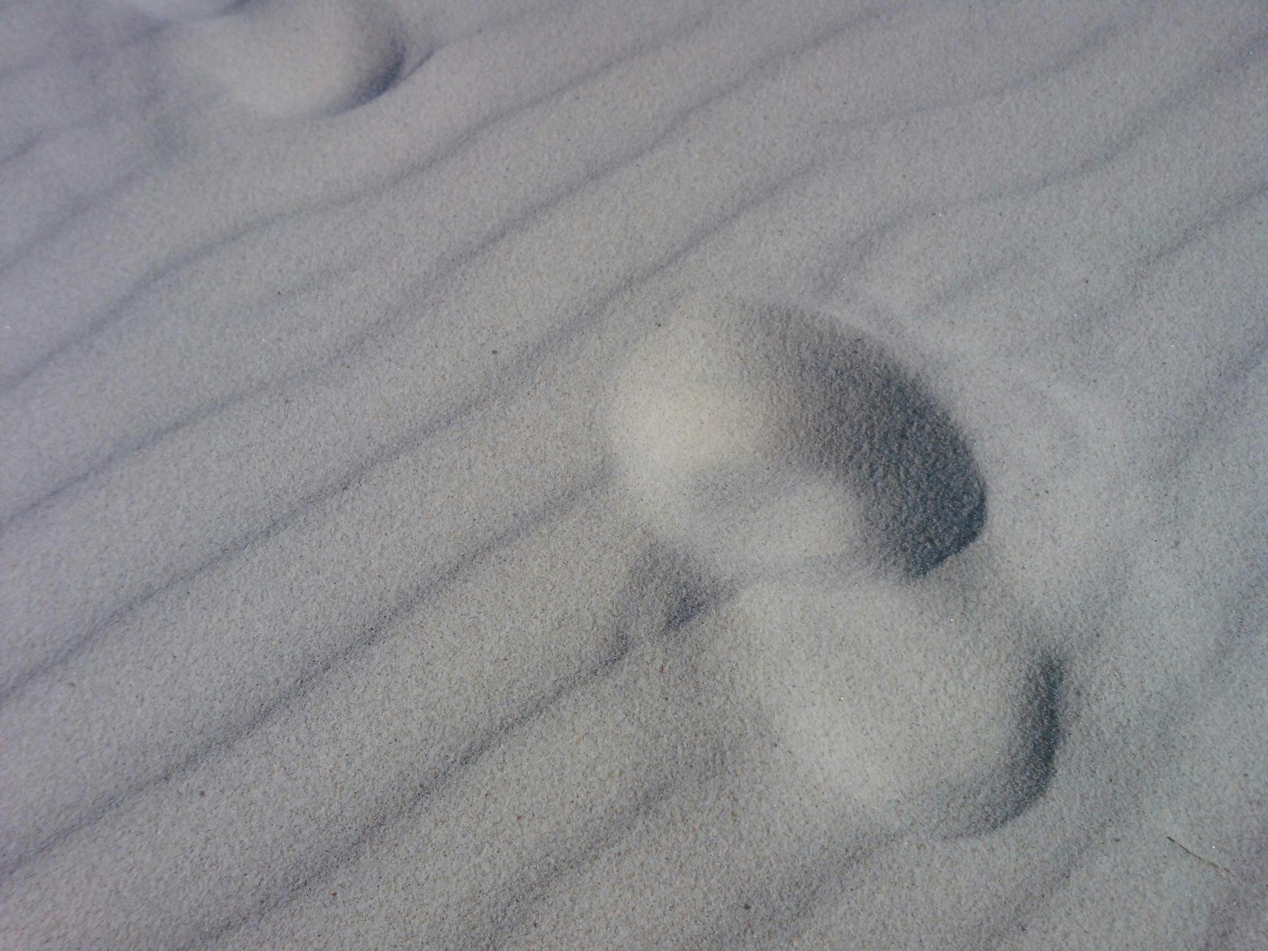 Free stock photo of Foot prints in the sand, footprints, sand