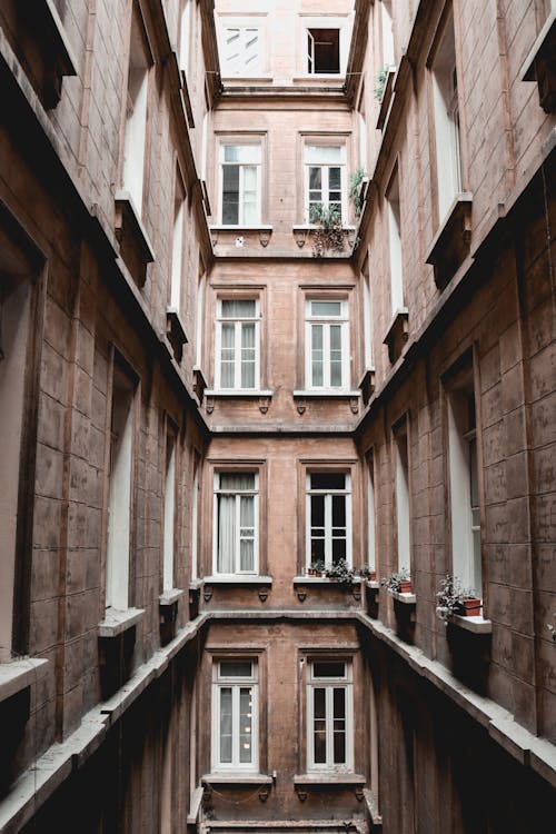 Základová fotografie zdarma na téma apartmány, exteriér budovy, skleněné okno