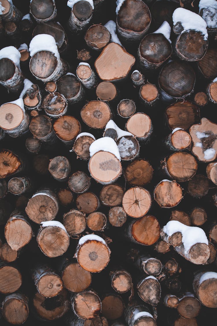 Stack Of Brown Tree Logs