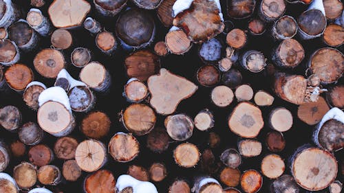 Wooden Logs in Close-up Photography
