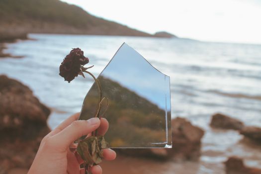 A hand holding a dry rose with a broken mirror piece by the scenic seashore.