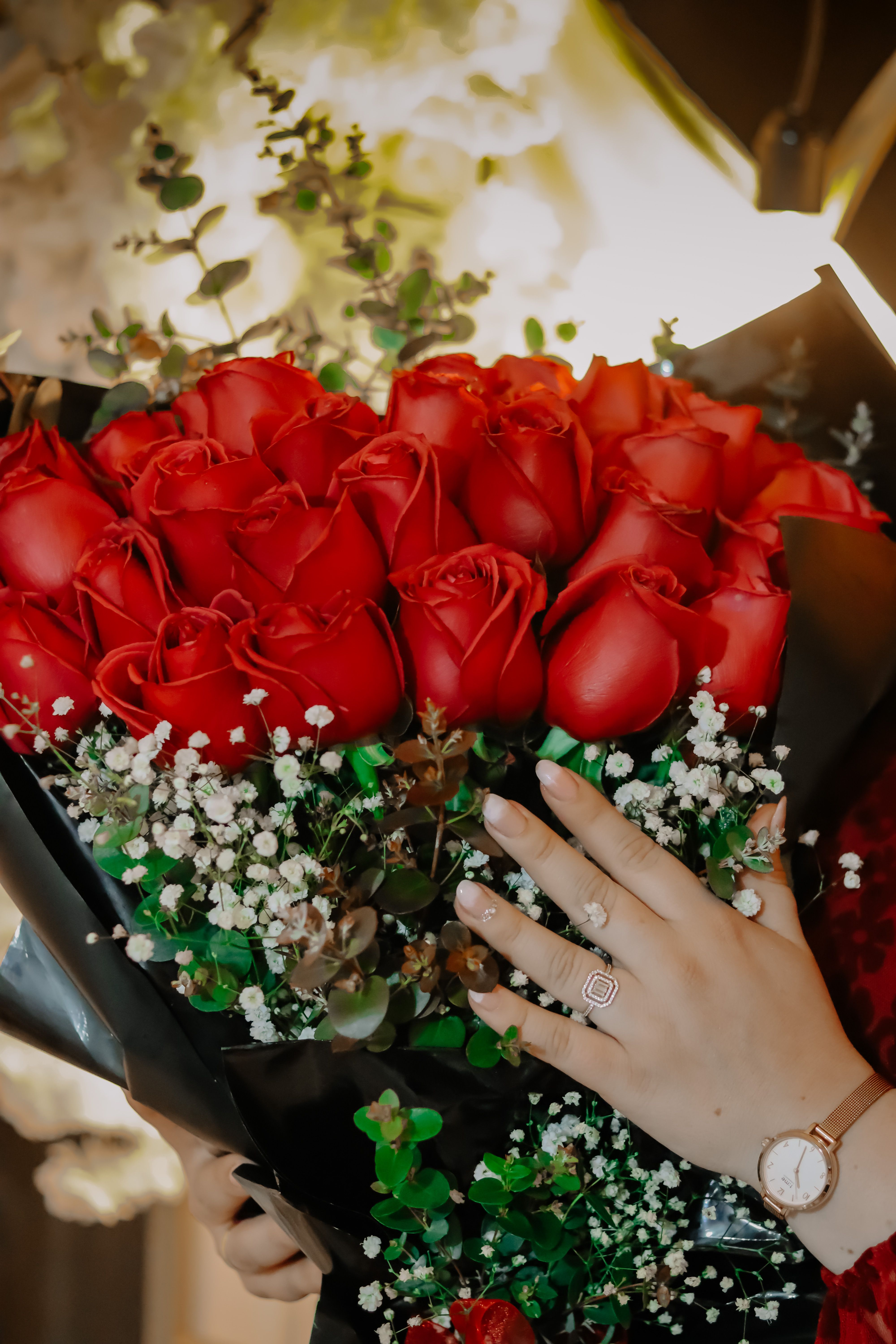 A Person Holding Red Rose Flower · Free Stock Photo