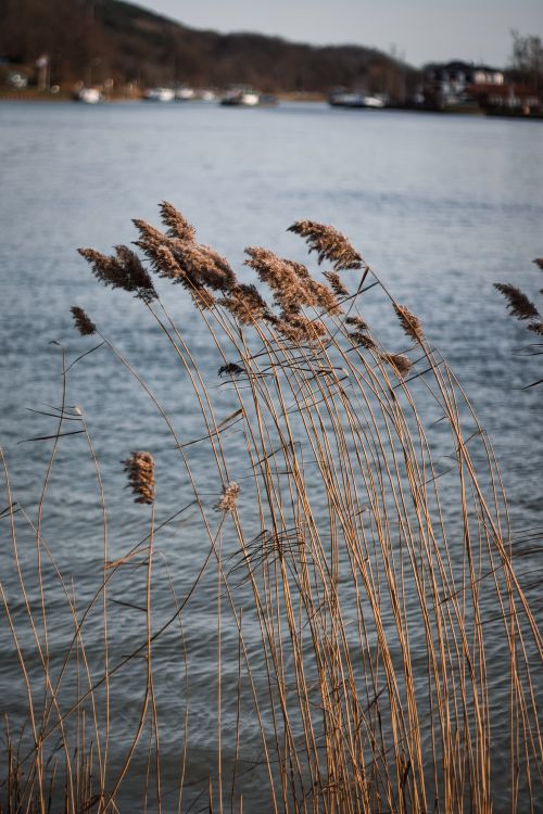 Free Hintergrund Stock Photo