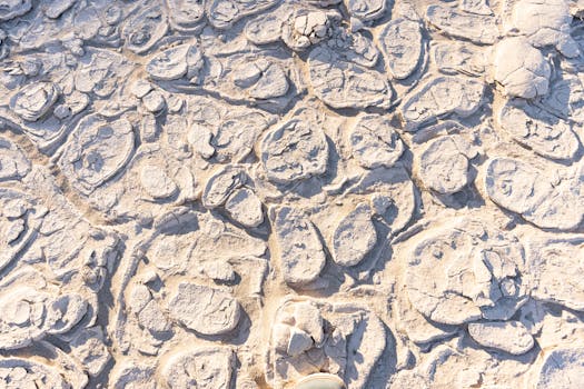 Close-up view of cracked salt flats texture in Death Valley, California under sunlight.