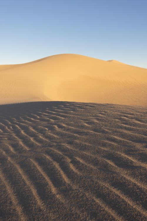 Free Captivating view of golden sand dunes in Death Valley, California during sunrise. Stock Photo