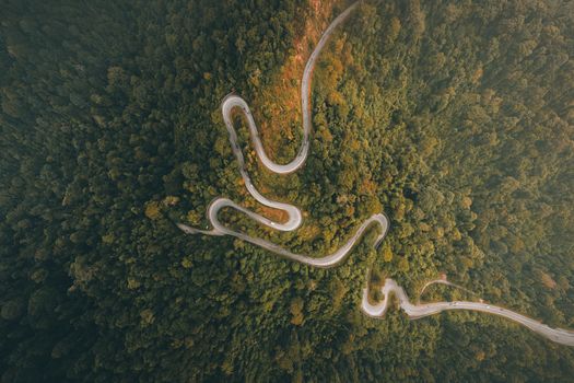 Dramatische Automobil-Aufnahme mit Wald & Straße