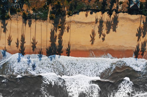 Aerial View of the Beach