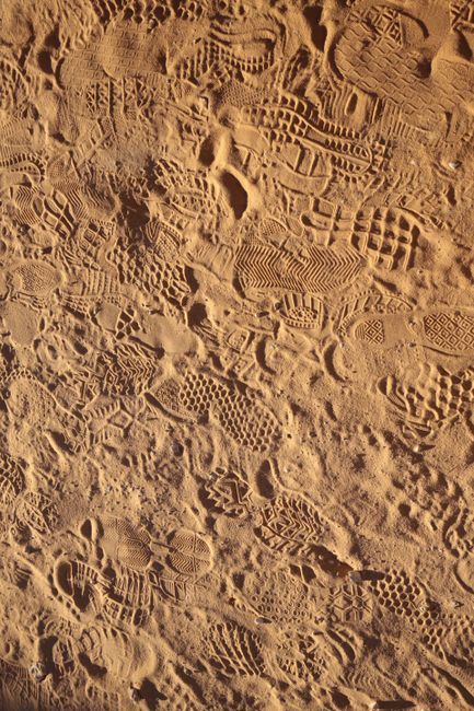 Aerial view of various footprints imprinted in Arizona's sandy desert landscape.