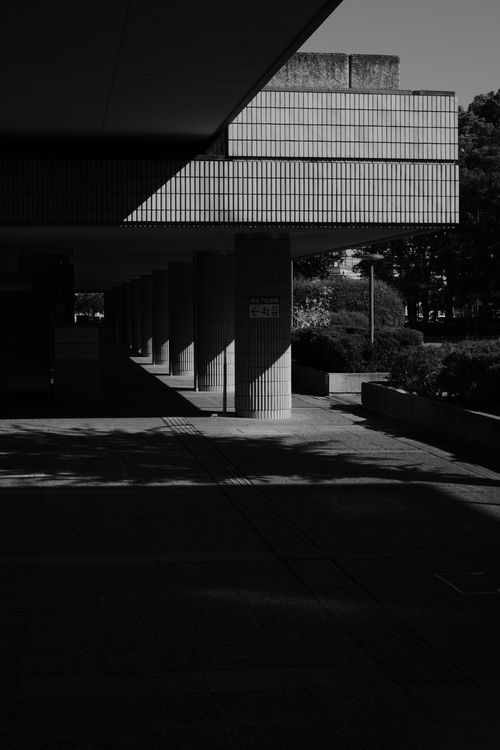 Free A monochrome image of modern architecture featuring geometric shapes and shadows. Stock Photo