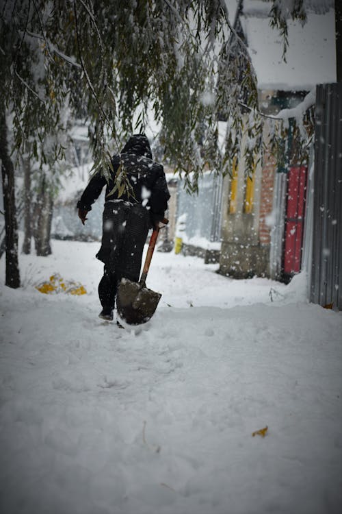 Imagine de stoc gratuită din acoperit de zăpadă, arbore, fotografiere verticală