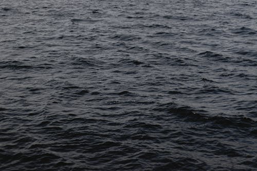Surface of Dark Body of Water