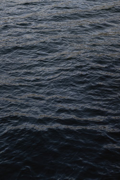 Close-up of Body of Water 