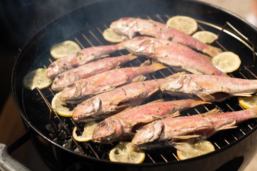 Close-up view of grilled fish and lemon slices on a barbecue grill.
