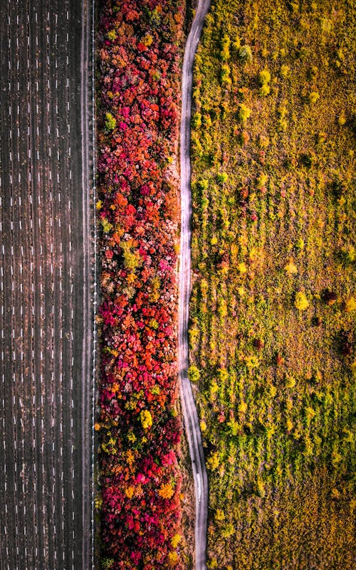 Roads in Field in Nature