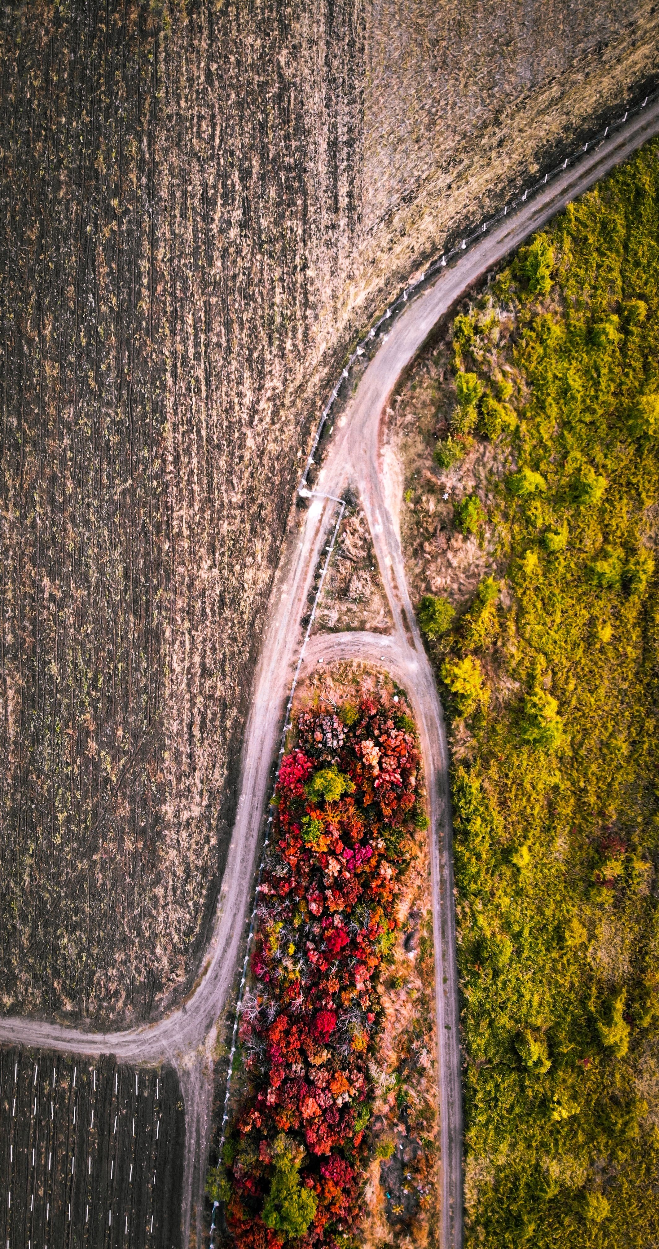 Aerial shot highlighting a road through colorful autumn foliage and countryside fields.