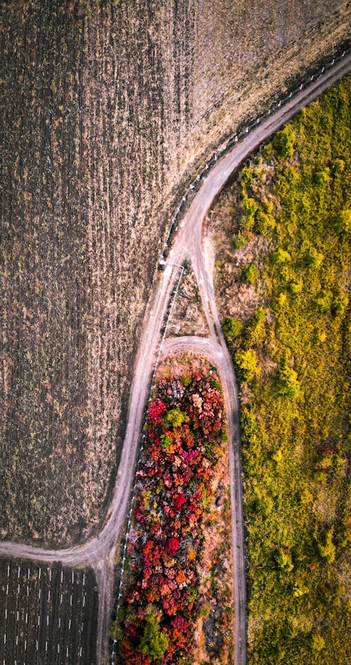
An Aerial Shot of a Road in the Countryside