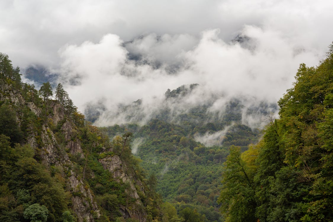 Mountain Covered in Thick Fog 