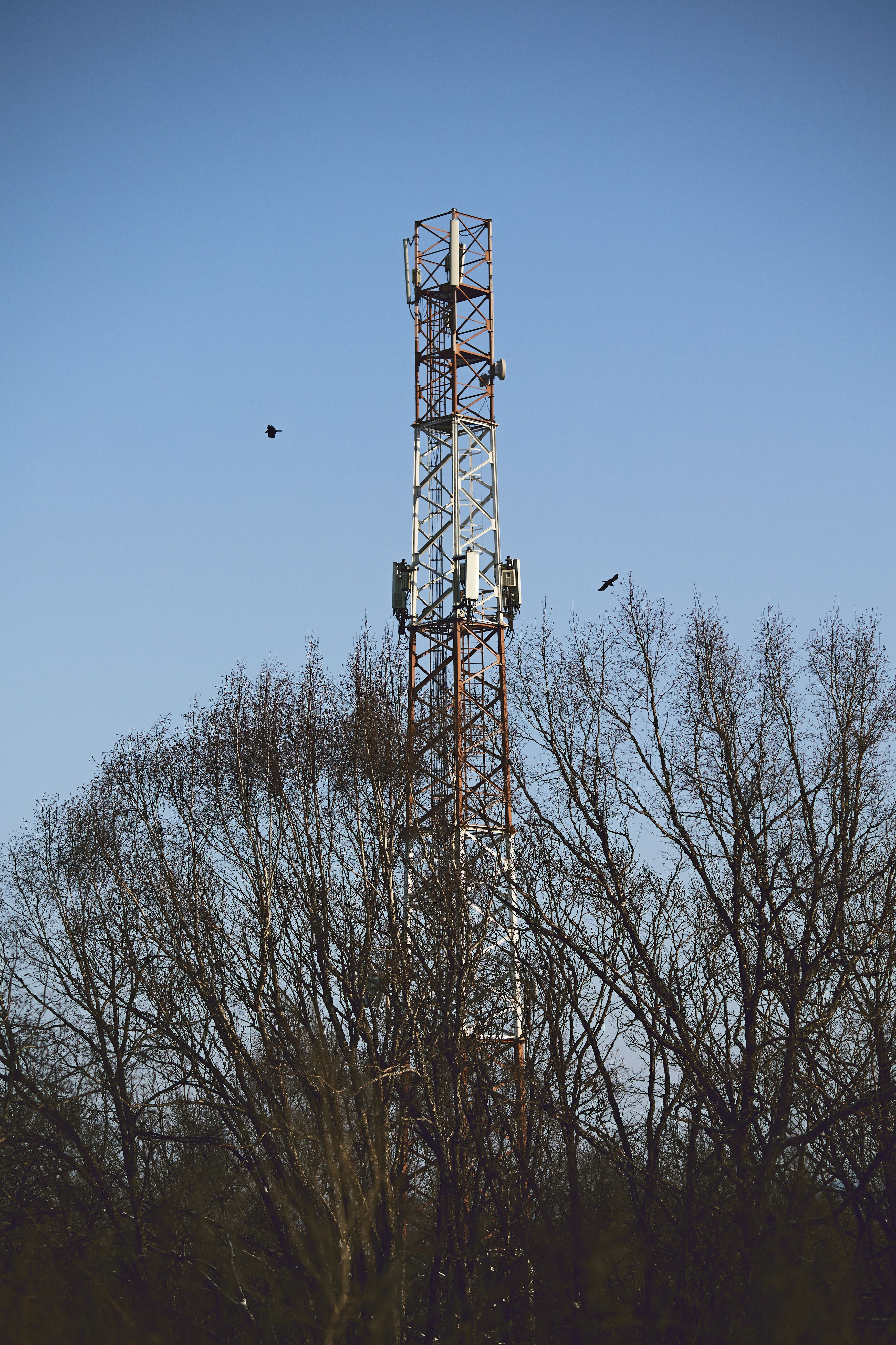 photo of a transmission tower