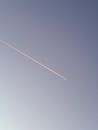 aereo