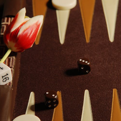 Free stock photo of backgammon, dice, tulip Stock Photo