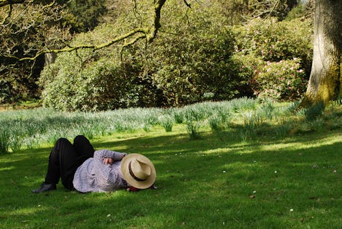 Free stock photo of chilled out, daffodils, hat