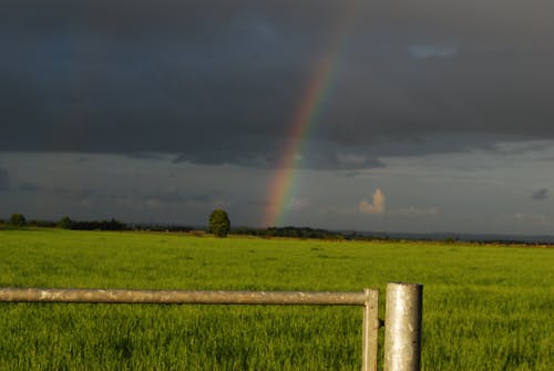 Free stock photo of clouds, gate, rainbow