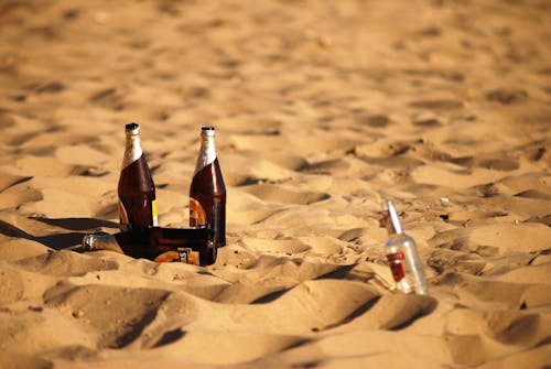 Free stock photo of beach, beer, bottle