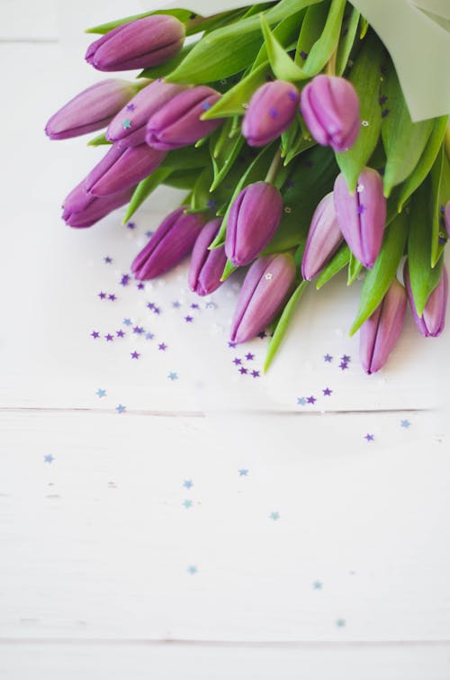 Free Purple Tulips on White Surface Stock Photo