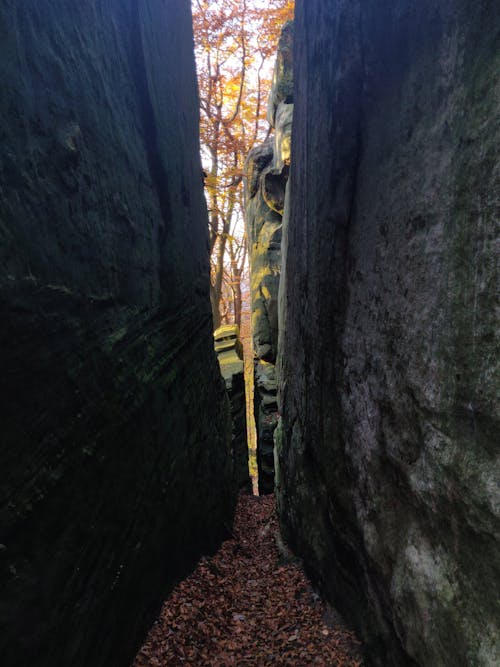 Fotos de stock gratuitas de cueva, estrecho, hojas de otoño