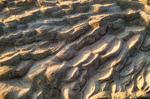 Безкоштовне стокове фото на тему «впритул, земля, пісок»