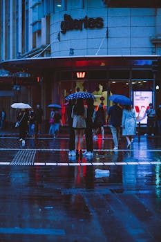 People with umbrellas walking in the rain in Sydney's busy city street at night.