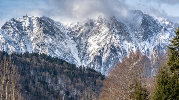 Breathtaking view of snow-capped mountain peaks surrounded by dense forest in winter.