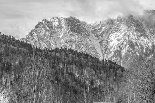 Free Grayscale Photo of Mountain Range Stock Photo