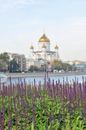 White and Brown Dome Building Near Body of Water