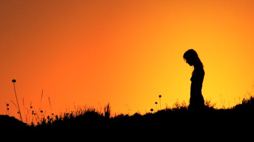 Kostenlos Schattenbild Der Frau, Die Auf Grasfeld Während Des Sonnenuntergangs Steht Stock-Foto