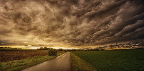 Route Entre Champ D'herbe Sous Ciel Gris