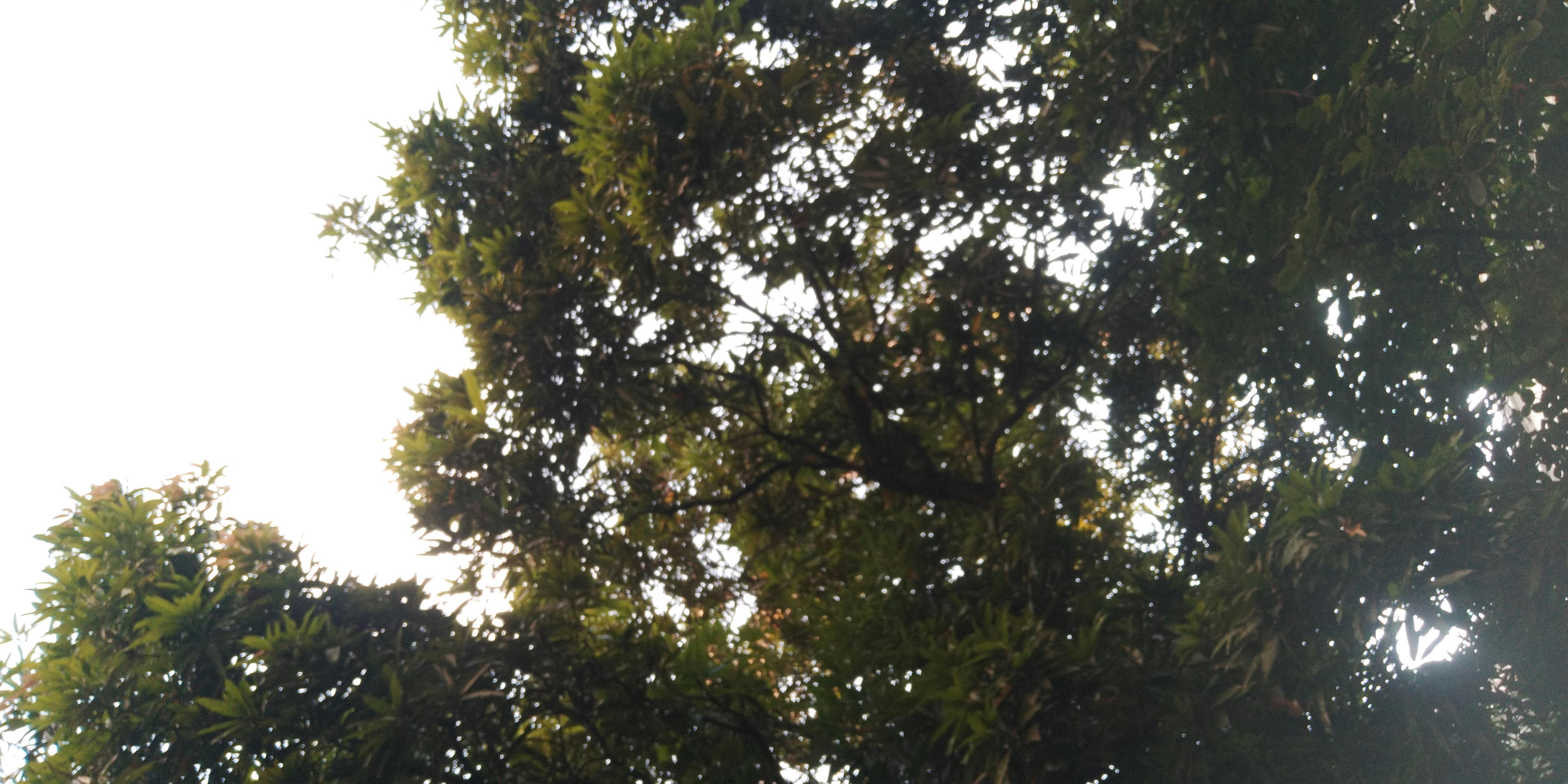 Sunset over a city skyline with storm clouds receding